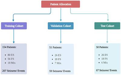 Clinical Functional Seizure Score (CFSS): a simple algorithm for clinicians to suspect functional seizures